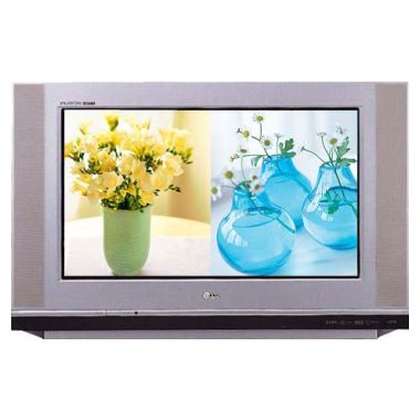 LG���� �ö��� DN-32FZ33H