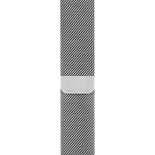 APPLE 워치 시리즈3 38mm Cellular 스테인리스 스틸 (밀레니즈루프)_이미지