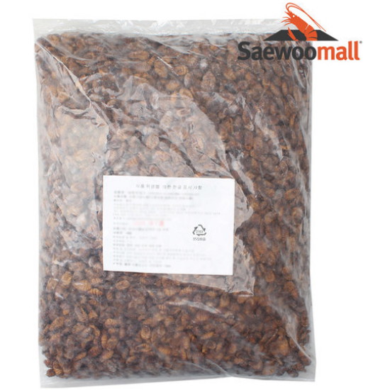번데기 4kg