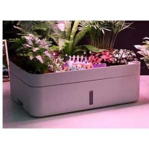 ��ǰ �� �̹���