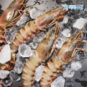 비비수산 킹타이거새우 1kg [6~7개]
