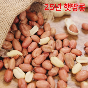 여주농산 고소한 국내산 여주땅콩 볶음땅콩 1kg 25년 햇땅콩_이미지