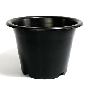 [불명] 플라스틱화분 블루베리pp분260 분갈이흙 화분