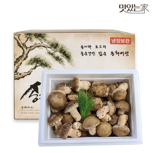 젊은농부 무농약 송화버섯 1kg 고급형 명절 설 추석 선물세트 송고 송화고 표고 송이버섯