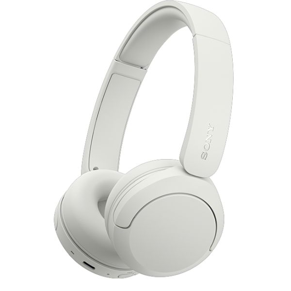 SONY WH-CH530 (해외구매)_이미지