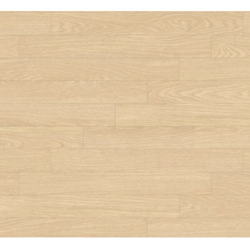 KCC �� ������ �� ���ϵ� ��ũ