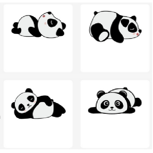 niimbot B21/B1 라벨지 50 x 50mm (판다4)