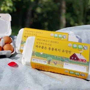 제주웰빙영농조합 애월아빠들 난각번호 2번 무항생제 제주품은 동물복지 유정란 10구 (4개)_이미지