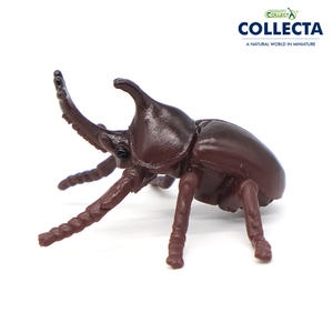 컬렉타 테라리움 미니 장수풍뎅이