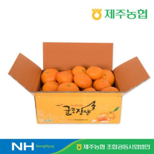 제주농협조합공동사업법인 2026 귤로장생 제주 레드향 9~17개 2.5kg (1개)_이미지