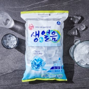 오뚜기 생얼음 3kg [1개]