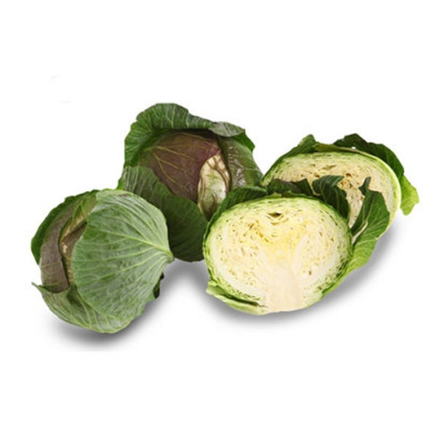 햇살조은 청정지역 국내산 양배추 1개 1통 3kg내외