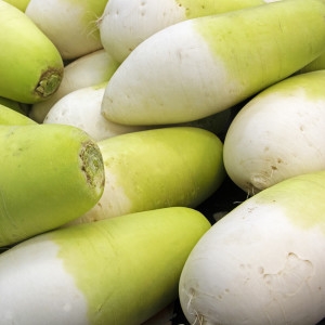 산정마을 국산 햇 무 5kg (1개)