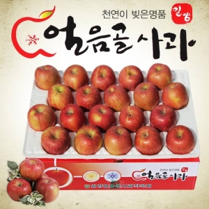 햇빛농원 밀양 얼음골 사과 19~21과 5kg (1개)