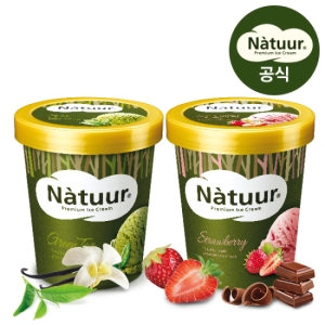 롯데제과 나뚜루 아이스크림 파인트 2개