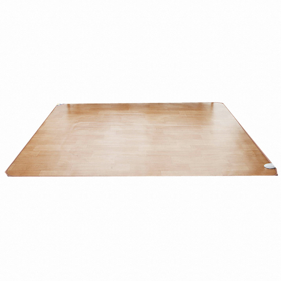 우진의료기 아임 한일명작 모노륨 전기 카페트매트 (4인용, 250x183cm, 특대형)_이미지