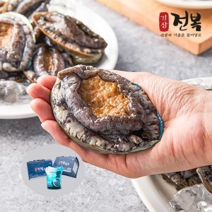 기삼전복 진도 활전복 1kg (1개)_이미지