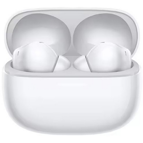 ������ ����� ���� 6 ����