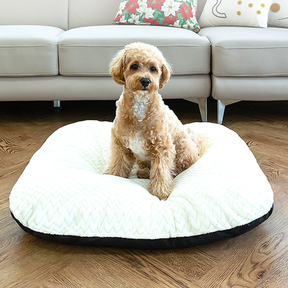 레토지엠에스 레토 무중력 쿠션방석 대형 LDC-R03이미지입니다. 누르면 해당 게시물로 새창이동합니다.