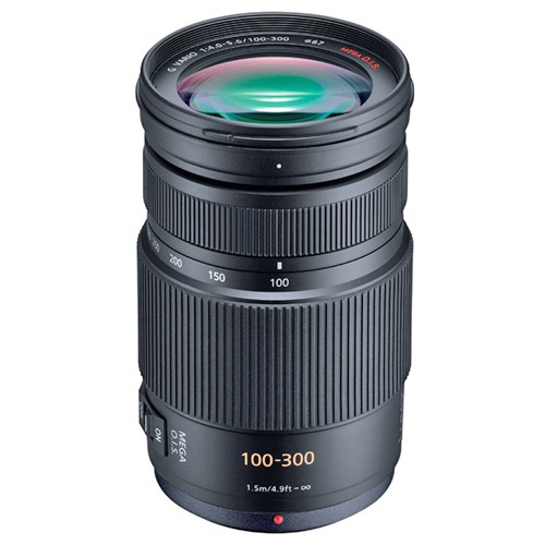 �ĳ��Ҵ� LUMIX G Vario 100-300mm F4-5.6 MEGA OIS