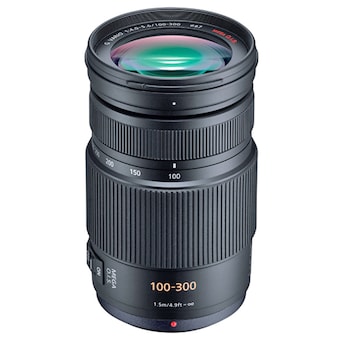파나소닉 LUMIX G Vario 100-300mm F4-5.6 MEGA OIS
