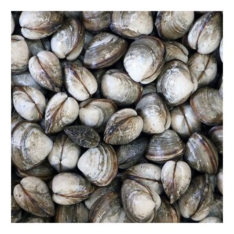 하전<b>바지락</b> 고창 하전갯벌 동죽 조개 3kg