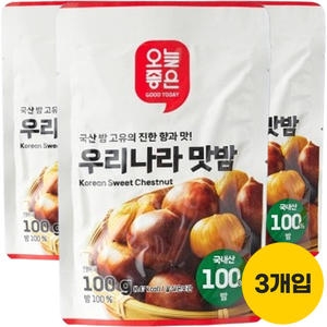 롯데마트 오늘좋은 맛밤 100g (3개)