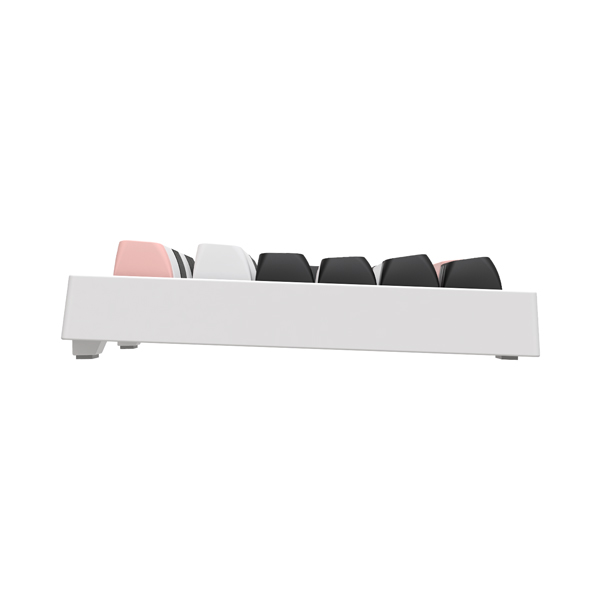 COX CMK108 (Olivia)_이미지