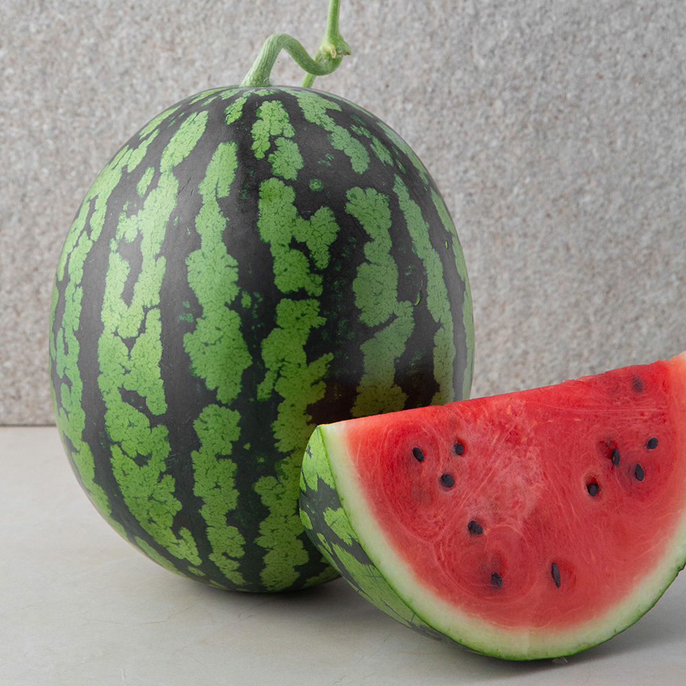 쿠팡 곰곰 당도선별 수박 11brix 이상 5kg 이상 (1개)