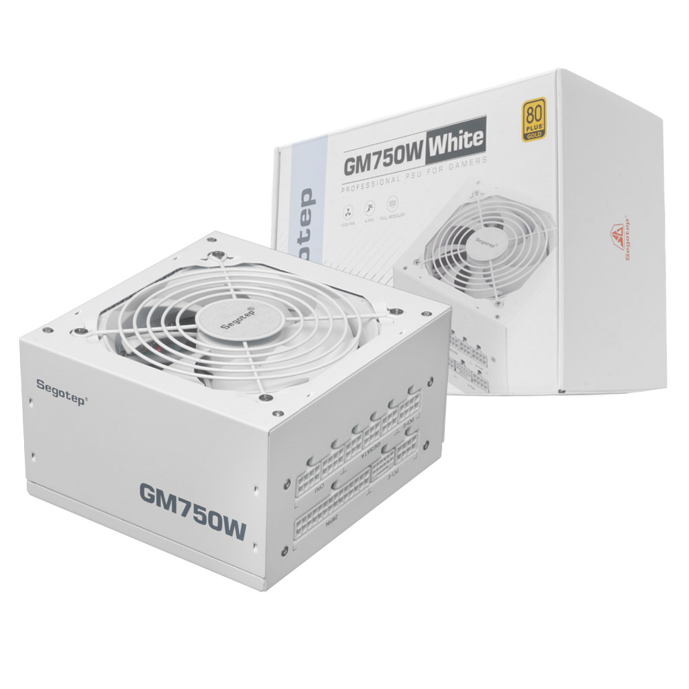 Segotep GM750W 80PLUS골드 풀모듈러 ATX3.1 화이트이미지입니다. 누르면 해당 게시물로 새창이동합니다.