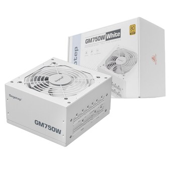 Segotep GM<b>750W</b> 80PLUS골드 풀모듈러 ATX3.1 화이트