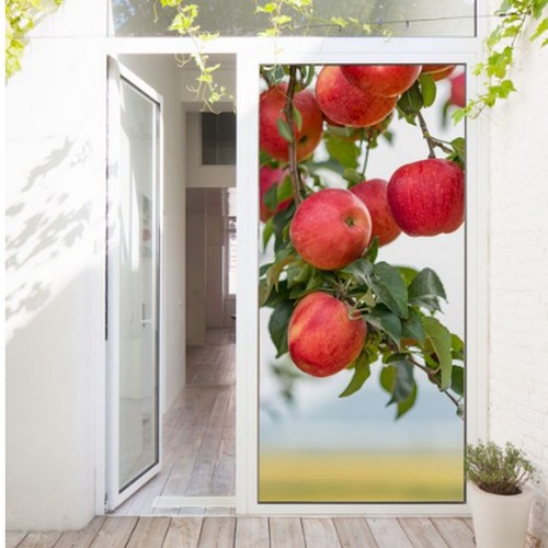 꾸밈 현관문 시트지 풍수 대롱대롱 빨간사과 tl451 (100cm x 210cm)