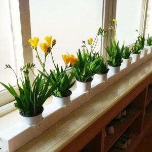 파이프팜  인테리어 연결화분 수경재배기 세트