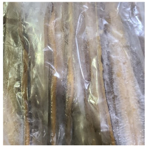 다인푸드 자숙붕장어 1kg (6~8마리)