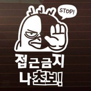  제제데코 초보맞나 맞다