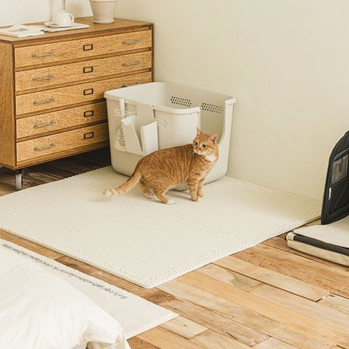 [불명] 구루구루 사막화 방지 캐치샌드매트