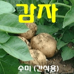  코레마을 꼬레촌 감자 수미 특 1번 20kg [1개]