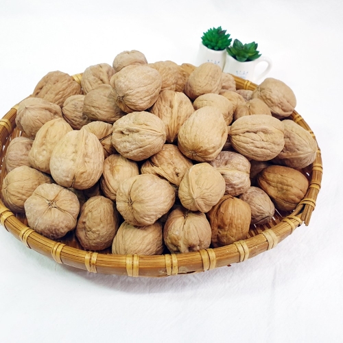 �ѿ츮 �ڿ��Ƹ� ������ ��ȣ�� 10kg 1��