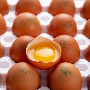 더싱싱 HACCP 난각번호 1번 유정란 40구