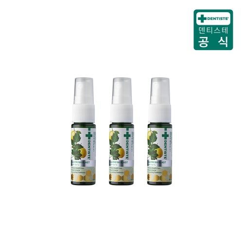 덴티스테 마일드 후레쉬 블라스트 스프레이 15ml (3개)_이미지