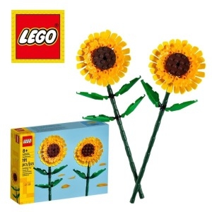 ���� �عٶ�� (40524)