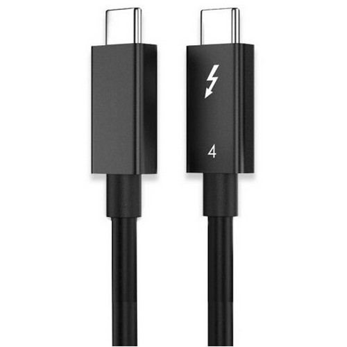 라디온 썬더볼트4 40Gbps PD C to C타입 100W 케이블 (2m)