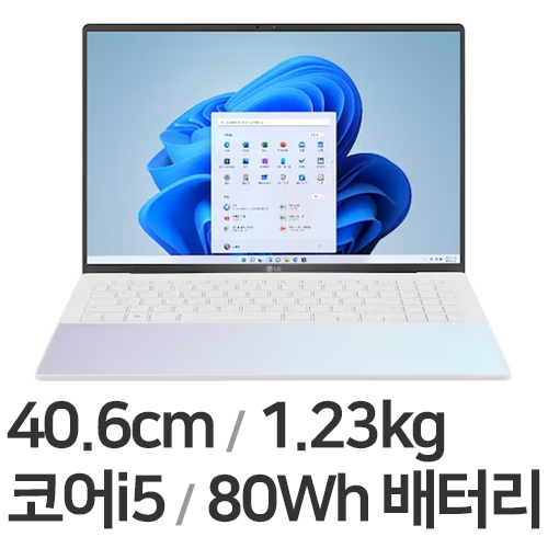 LG전자 그램 스타일16 16Z90RS-GA56K (SSD 2TB)