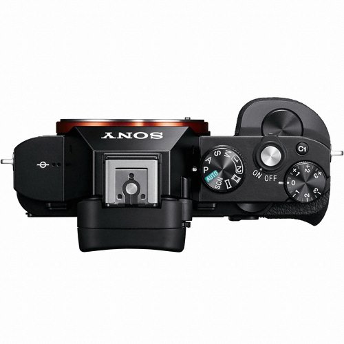 SONY ���� A7S �ٵ�