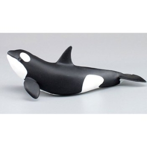 파포 아기 범고래 모형완구 동물모형 피규어 장난감 WFJE2Q7_이미지