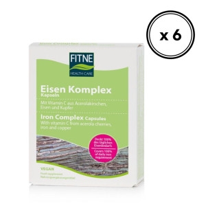 ��Ʈ�� EISEN ö�� 14mg ���÷��� 60�� x6