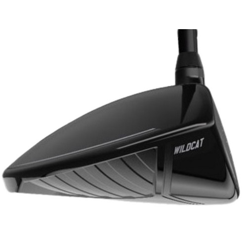 PXG ���ϵ�Ĺ ������ �����̿��