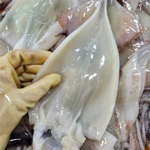 자연맛남 국내산 영덕 손질오징어 6~11마리 파지 1kg (1개)_이미지