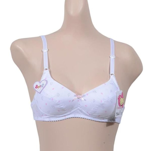 ���� �ִϾ� û�ҳ� 2�ܰ� ��� �������� ���л� �ߵ� WD6C6C8