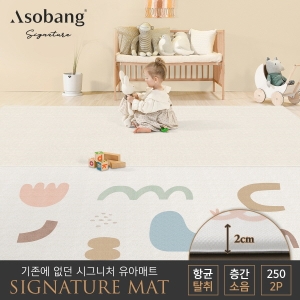 파크론 아소방 아소방 시그니처 놀이방매트 어도러블 250x150x2cm (2개)